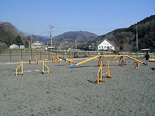 寄ドッグラン