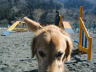 何撮ってるのー